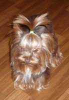 /album/orion1/orion-3-jpg/